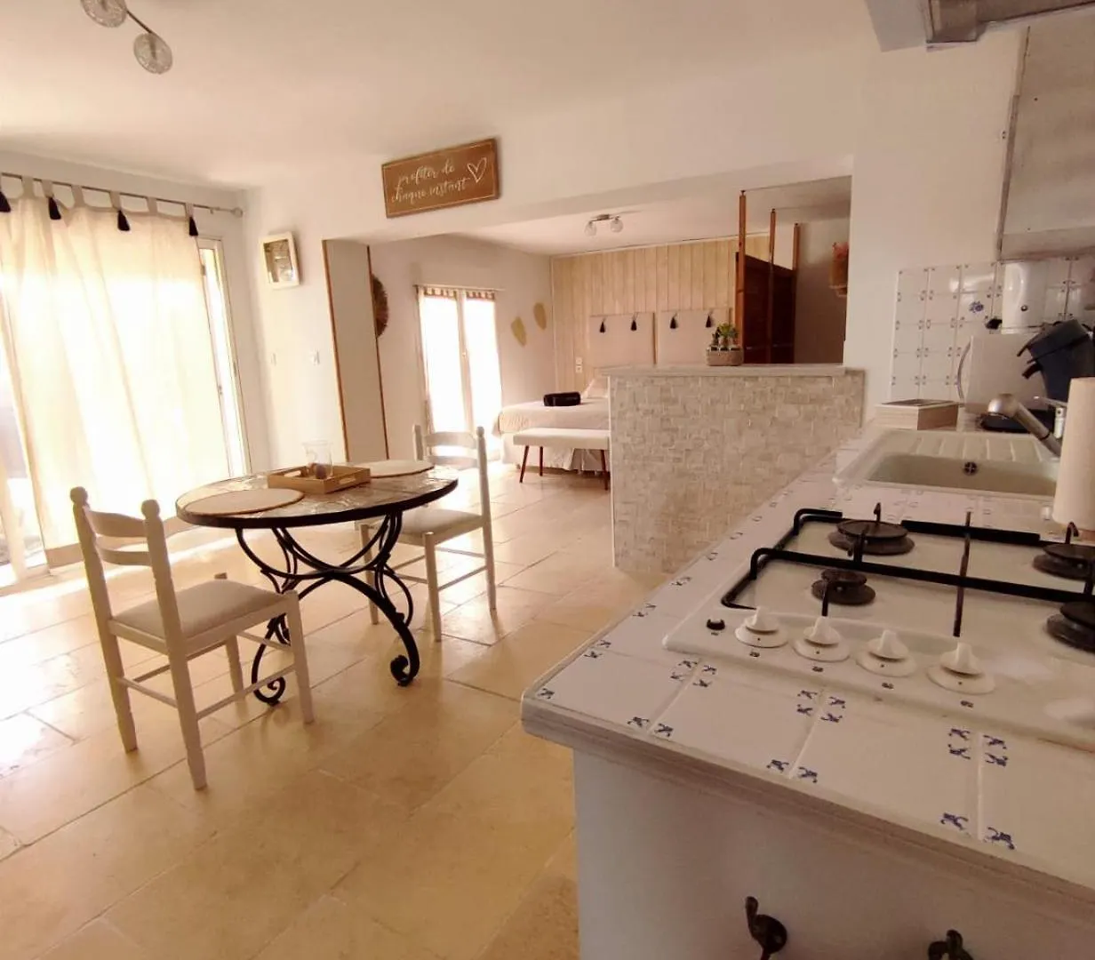 Studio Alpilles Avec Parking Et Spa Privatif Tarascon France