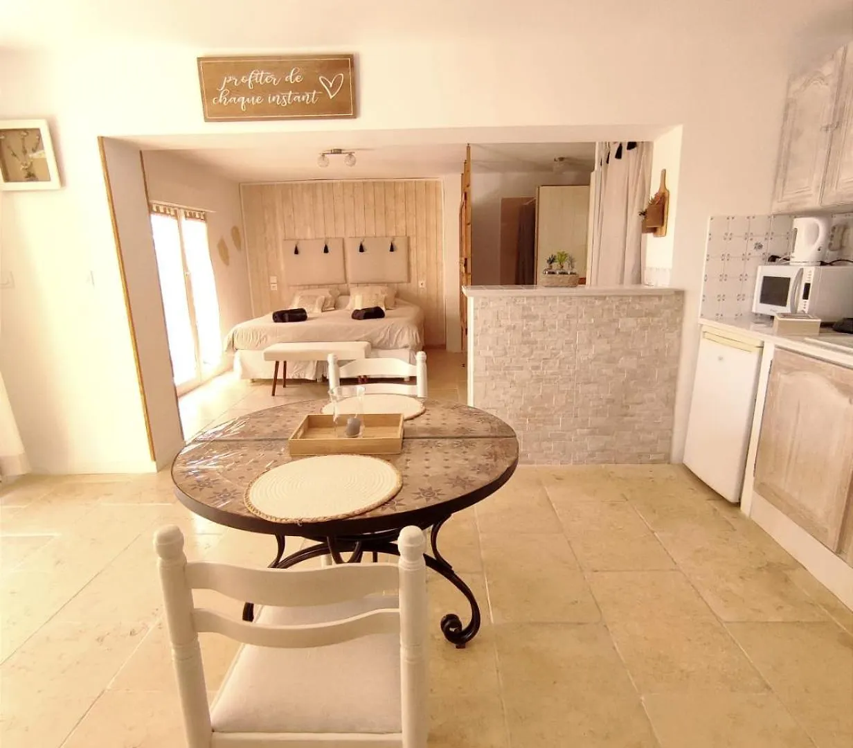 Studio Alpilles Avec Parking Et Spa Privatif Tarascon Holiday home